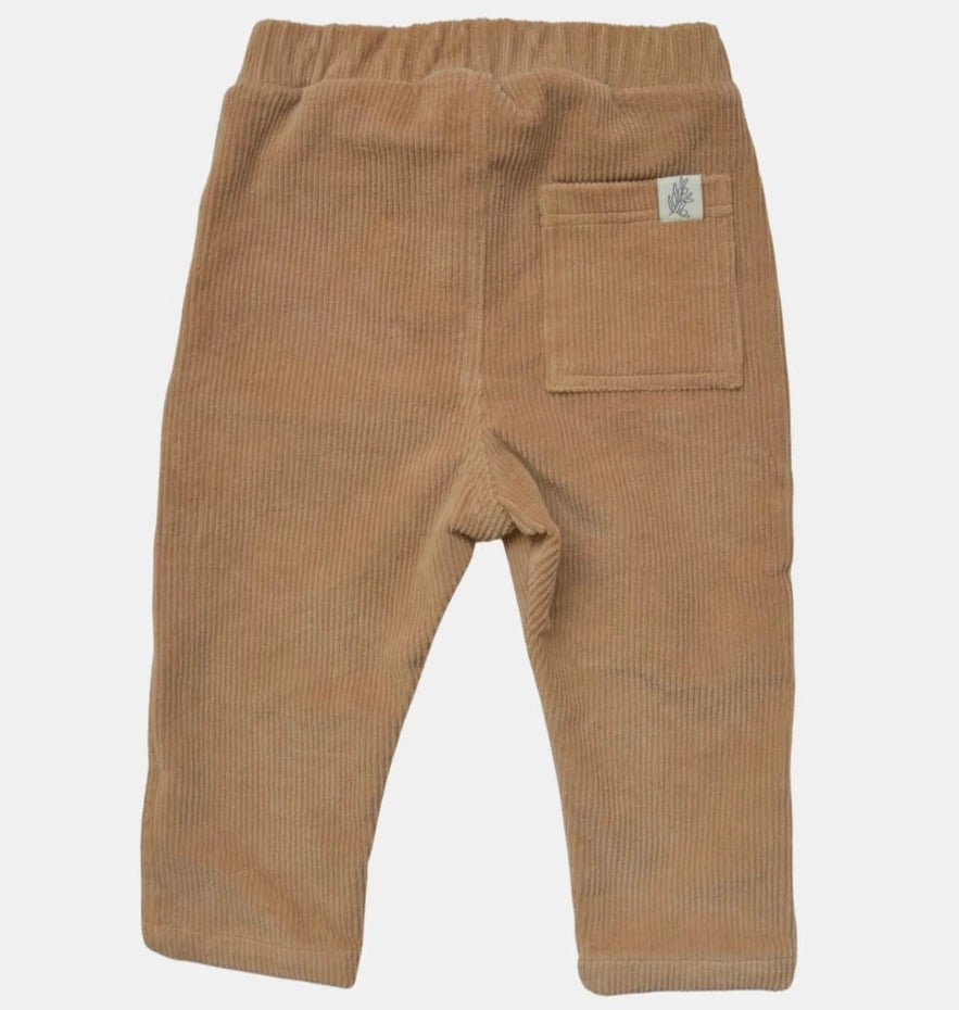 Corduroy Trousers in Brown